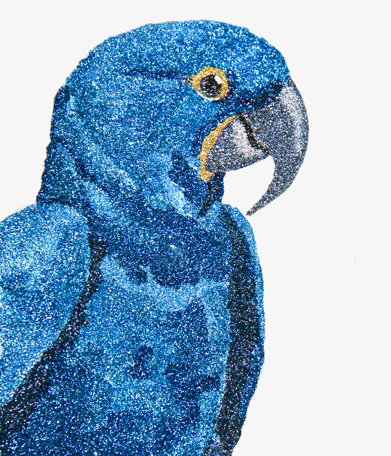 glitter painting of a macaw