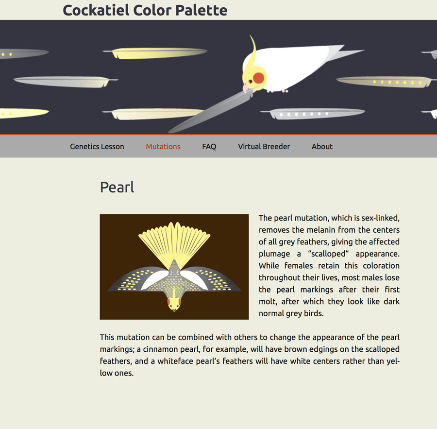 Cockatiel Color Palette web site