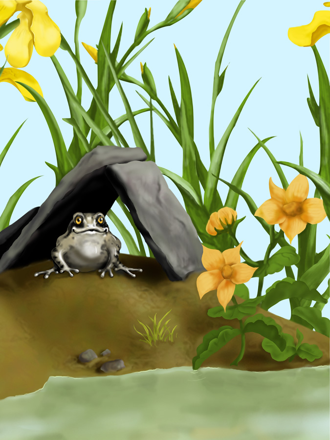 Digital painting of a frog