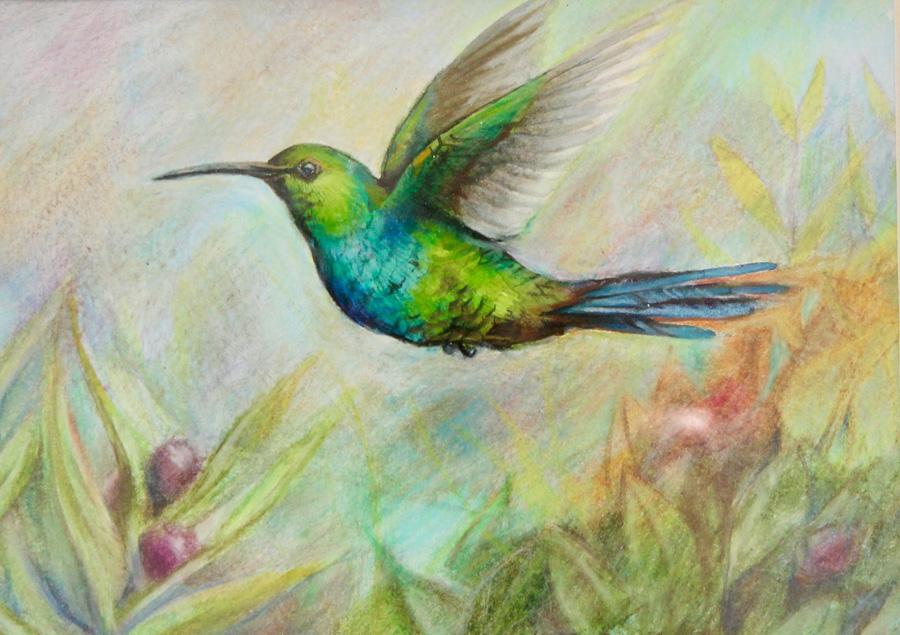 Drawing of a hummingbird